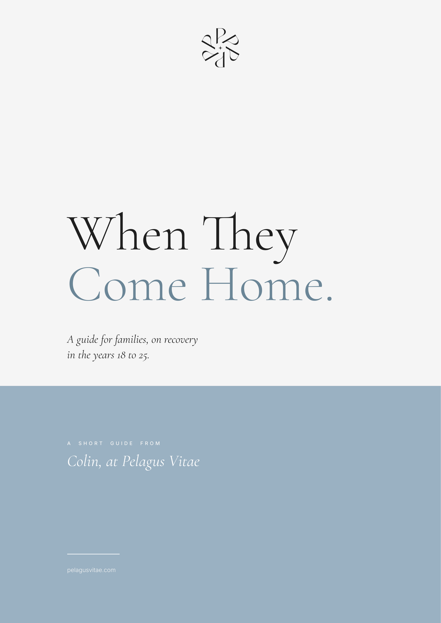 Cover of the free guide, When They Come Home