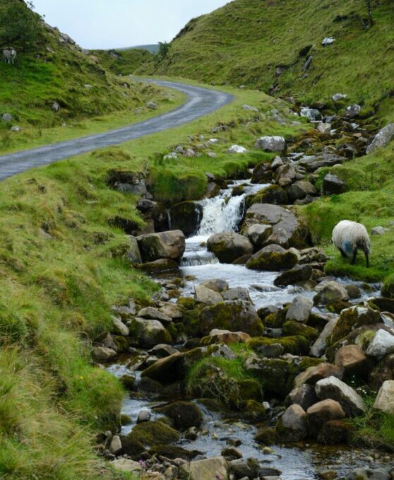 A mountain stream running through green hills
