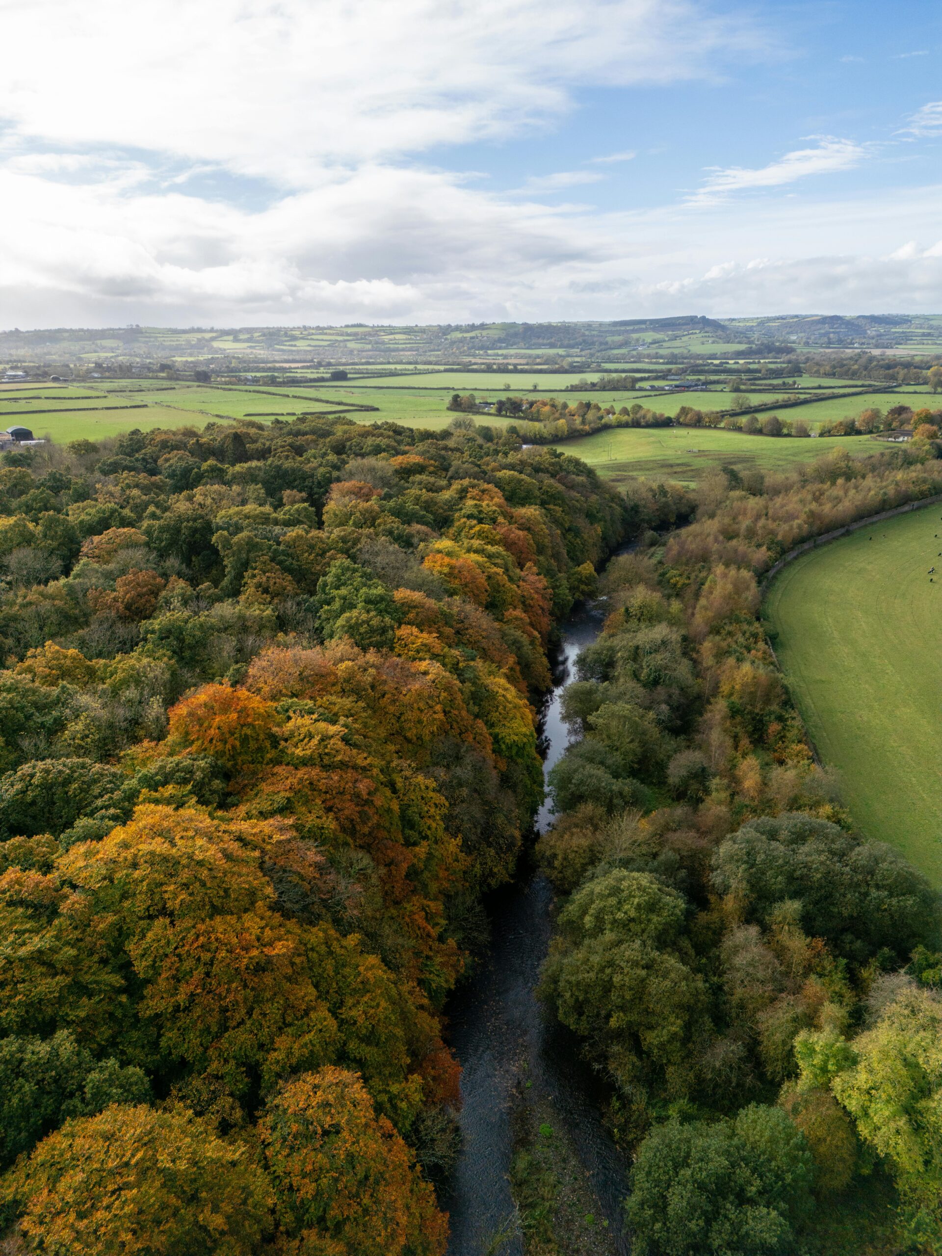 Green Irish countryside in autumn — Kilkenny retreat