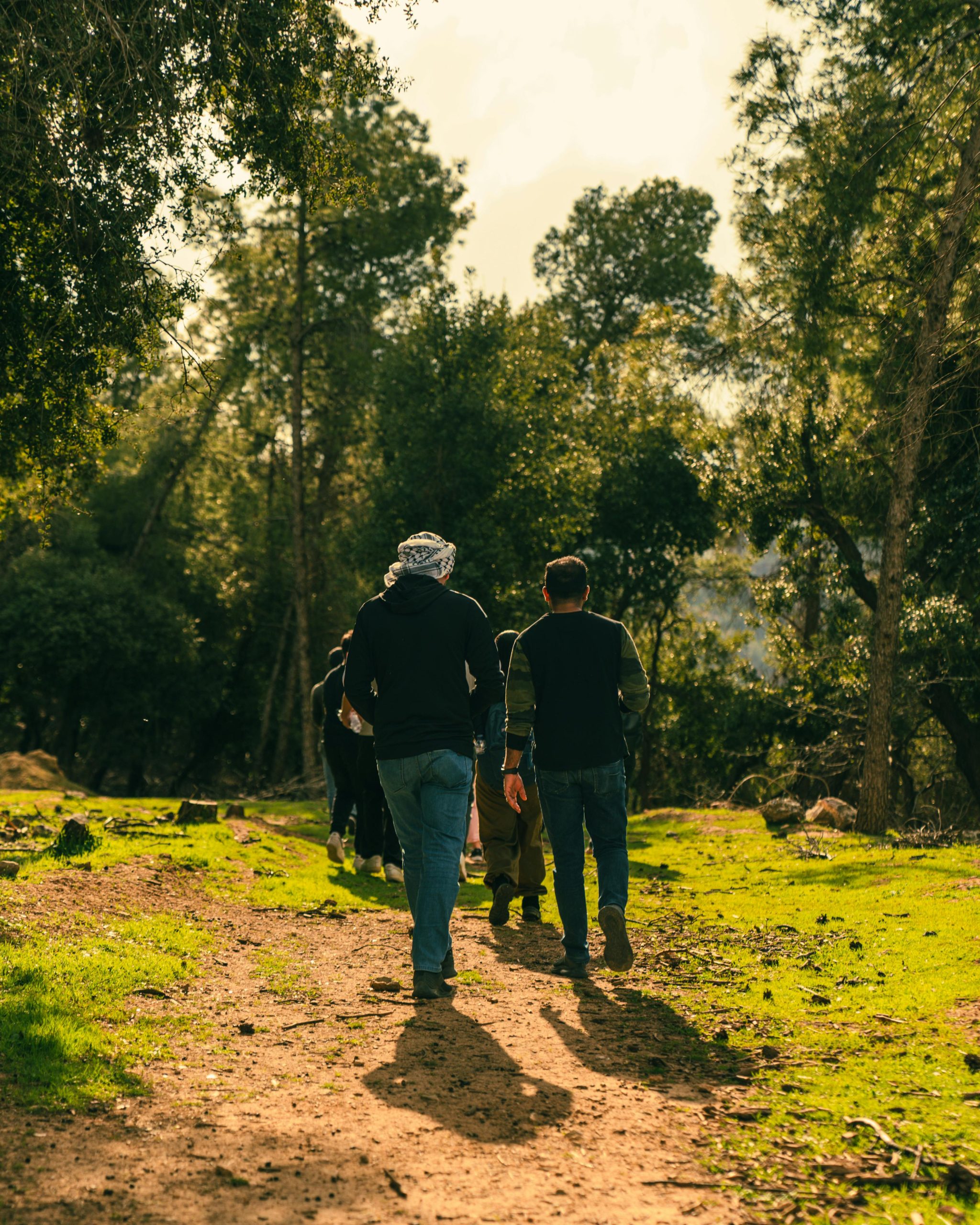 Equine therapy in autumn woodland — Kilkenny retreat
