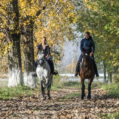 Horse riding through autumn woodland — Pelagus adventure therapy